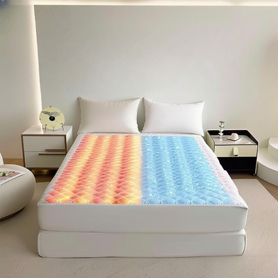Sistema di raffreddamento letto e coperta a doppia zona di controllo OEM