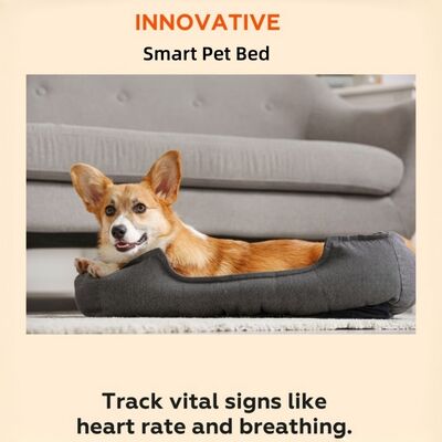 Smart pet bed con app basata sul monitoraggio in tempo reale della frequenza cardiaca, respirazione e sonno che fornisce informazioni sulla salute veterinaria