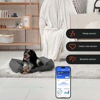 Smart pet bed con app basata sul monitoraggio in tempo reale della frequenza cardiaca, respirazione e sonno che fornisce informazioni sulla salute veterinaria