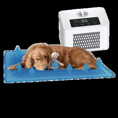 Letto elettrico per cani con sistema di riscaldamento e raffreddamento PTC Protezione contro il surriscaldamento ecocompatibile Tapis de refrigération domestique toute saison per gatti Cani