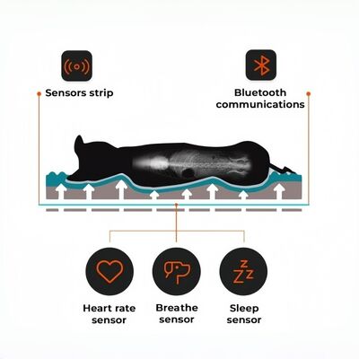 Smart Reptile Pet Bed Health Monitor Traccia frequenza cardiaca Respirazione Tasso di sonno Pad Wi-Fi Control Outdoor & Car Usare Pet Mat