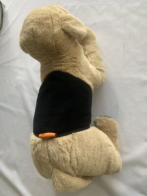 cintura di riscaldamento cintura per animali domestici progettata per il quotidiano con tessuto flessibile e carica USB per il supporto e il calore cintura per animali domestici