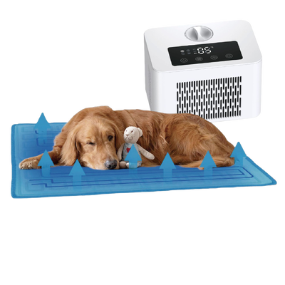 Smart pet bed pad di raffreddamento dell'acqua con lana di flanella morbida e rivestimento in TPU impermeabile per un confortevole riposo fresco durante l'estate calda