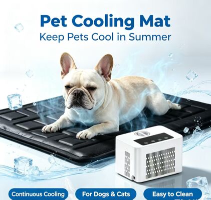 Tappetino refrigerante ad acqua per animali domestici intelligente offre un effetto di raffreddamento stabile e duraturo riduce la temperatura corporea dell'animale e il disagio da calore