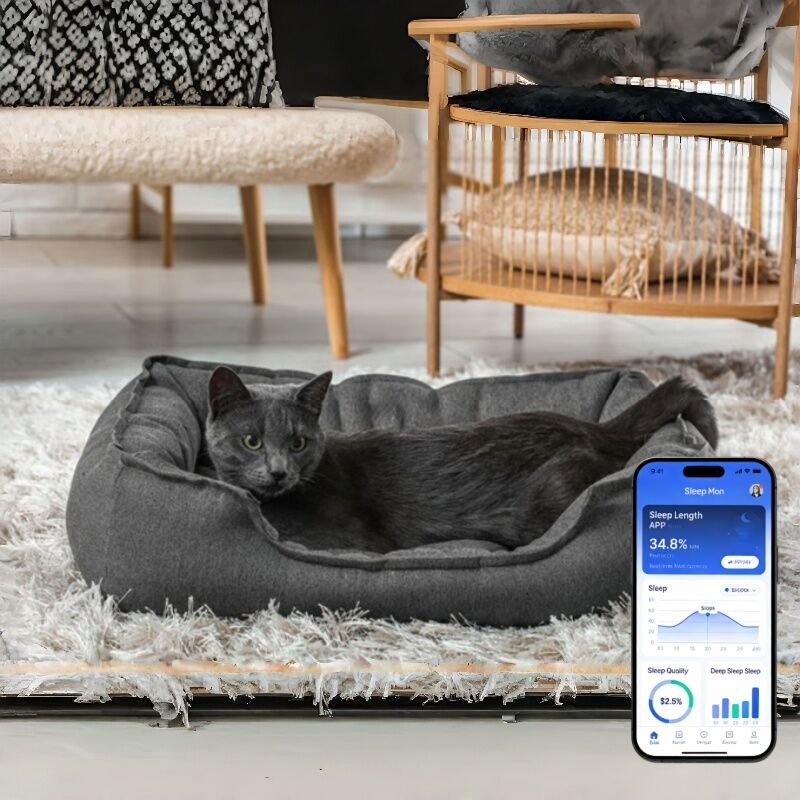 Smart pet bed con app basata sul monitoraggio in tempo reale della frequenza cardiaca, respirazione e sonno che fornisce informazioni sulla salute veterinaria