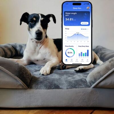Cuccia Intelligente OEM per Cani con Monitoraggio della Salute, Tracciamento APP Sonno/Cuore/Respiro per Cani Cuccioli Anziani Tranquillità